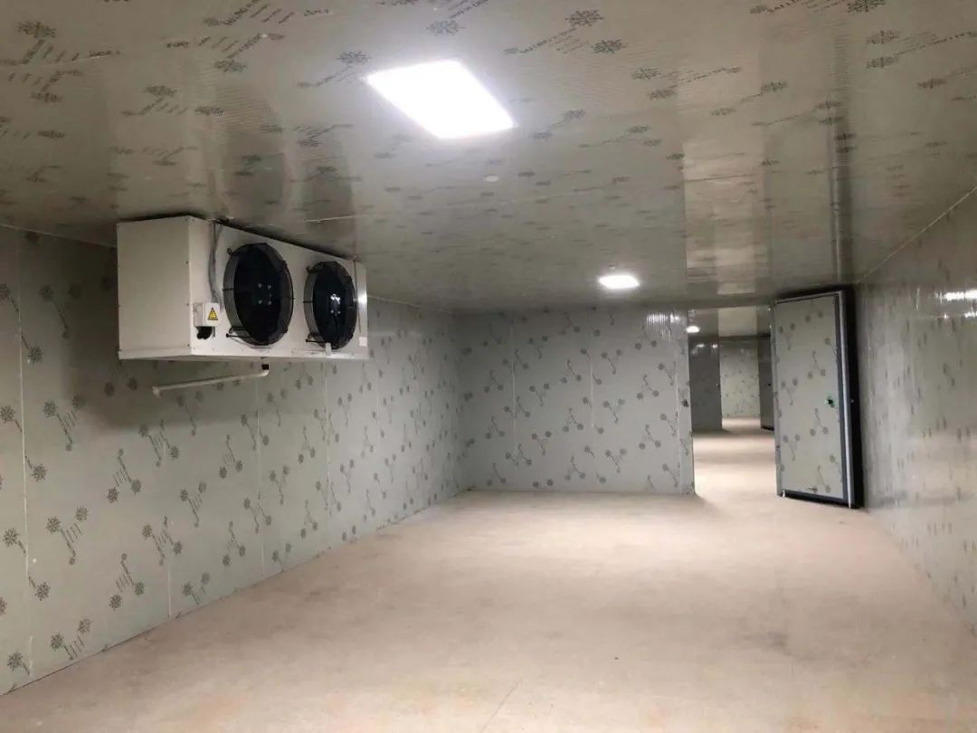 山阴气调保鲜冷库造价